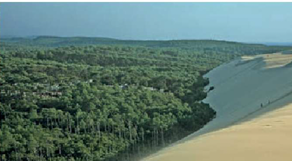 Lège Cap Ferret