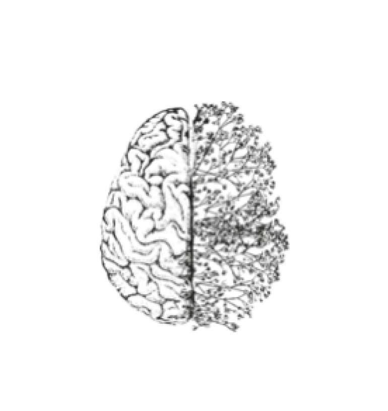 Neurofeedback dynamique à Sussargues