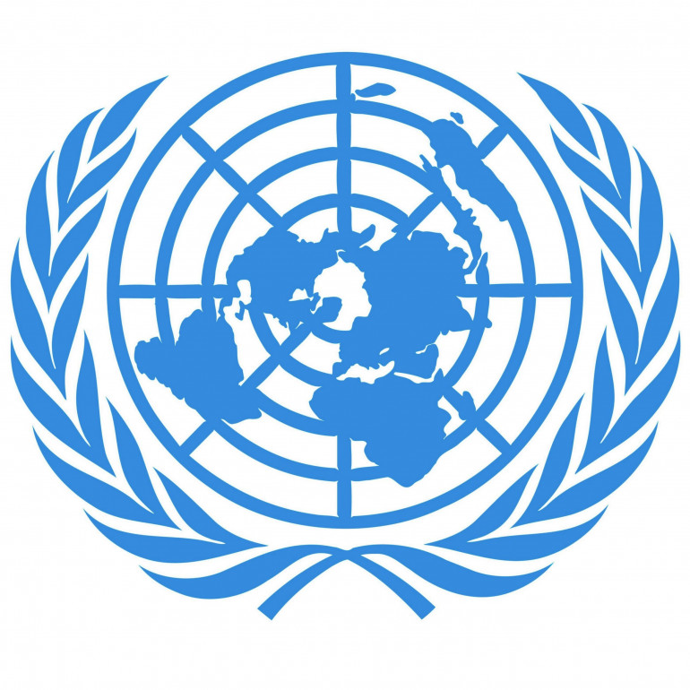 ONU et handicap : nouvelle offensive contre les institutions