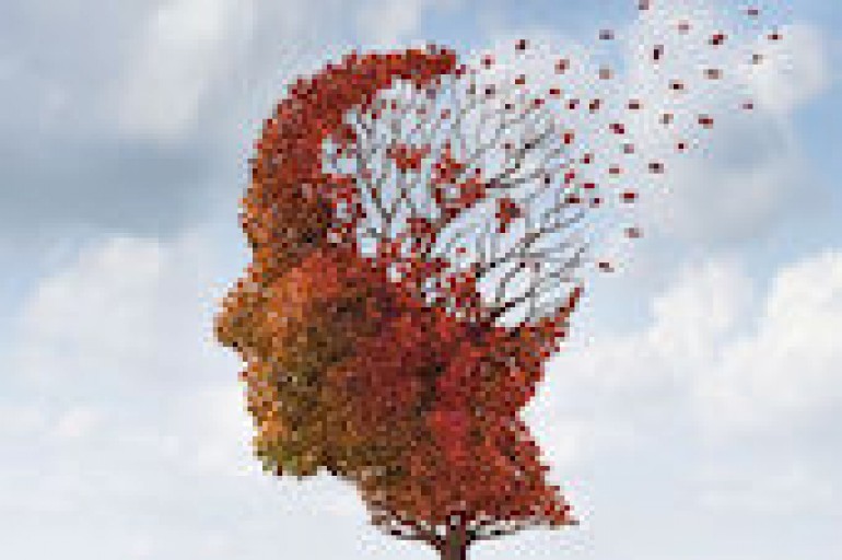 France Alzheimer Hérault