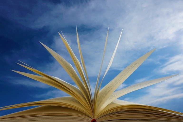 Biblio : Guide du parcours scolaire de l'enfant différent