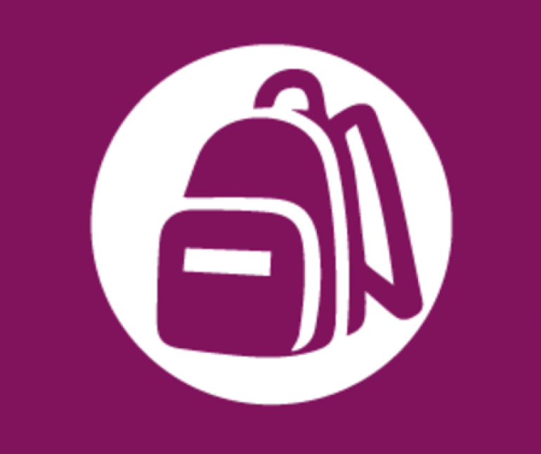 L'Équipe de Suivi de Scolarisation (ESS)