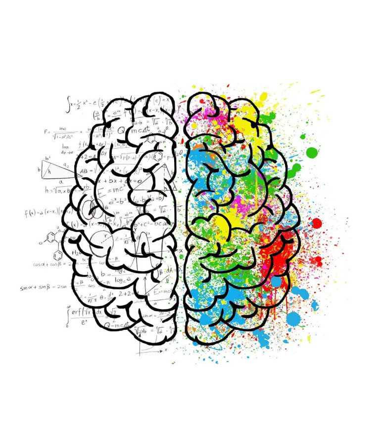 HPI (Haut Potentiel Intellectuel) : de quoi parle t'on ?