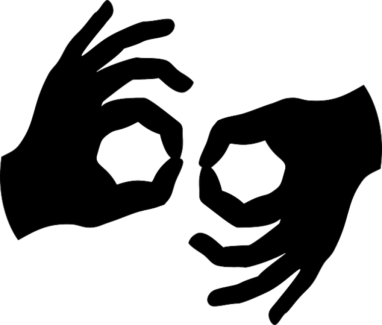 Autisme et Langue des Signes Française (LSF)