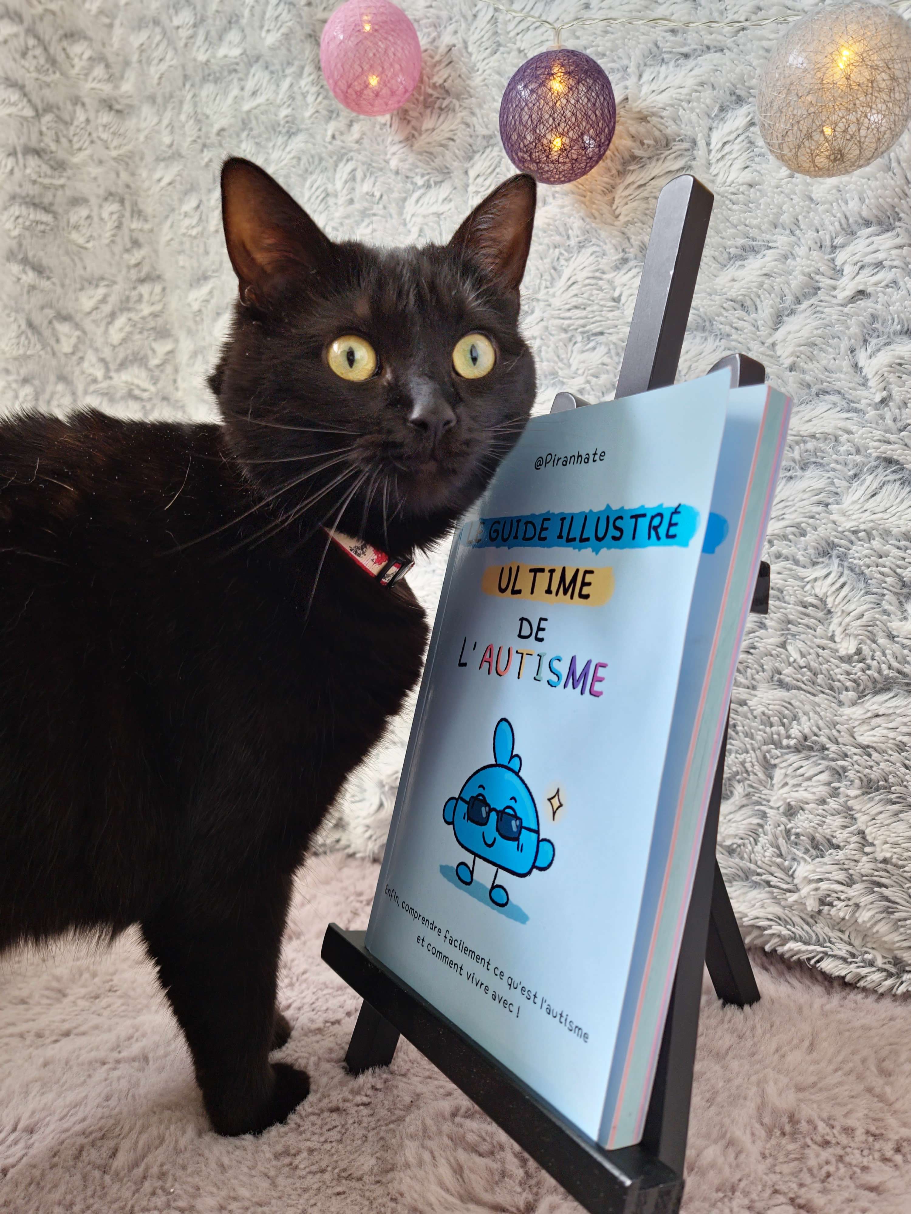 Le guide illustré ultime de l'autisme