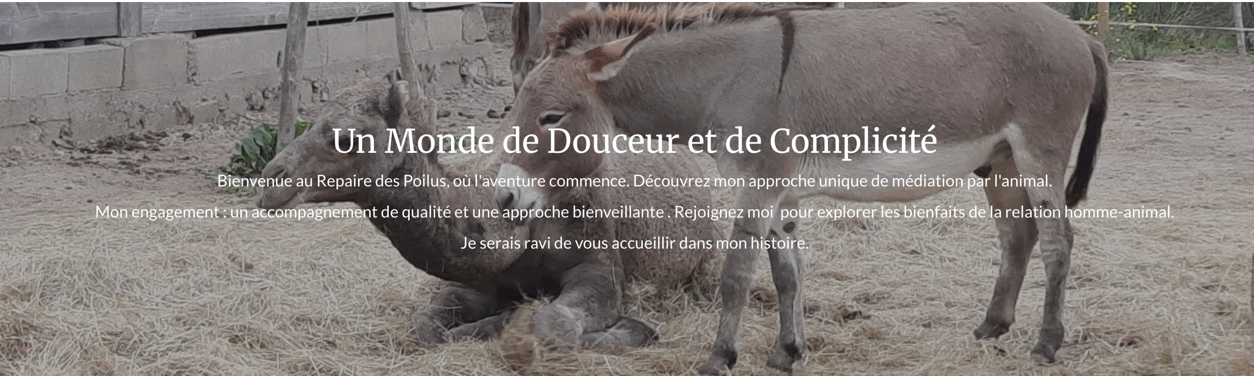 Le repaire des poilus