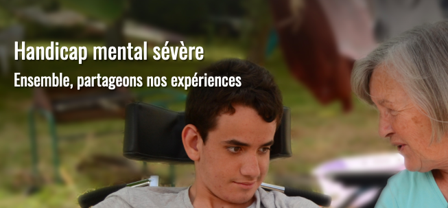 Réseau lucioles