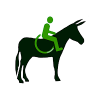 Balades adaptées à dos d'ânes : association Handiane