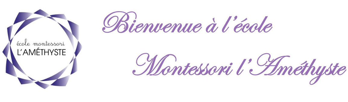 Logo Améthyste