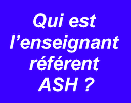Les enseignants référents ?