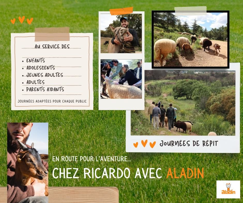Journée répit Aladin